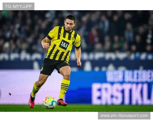 多特格雷罗世界波点燃球场气氛